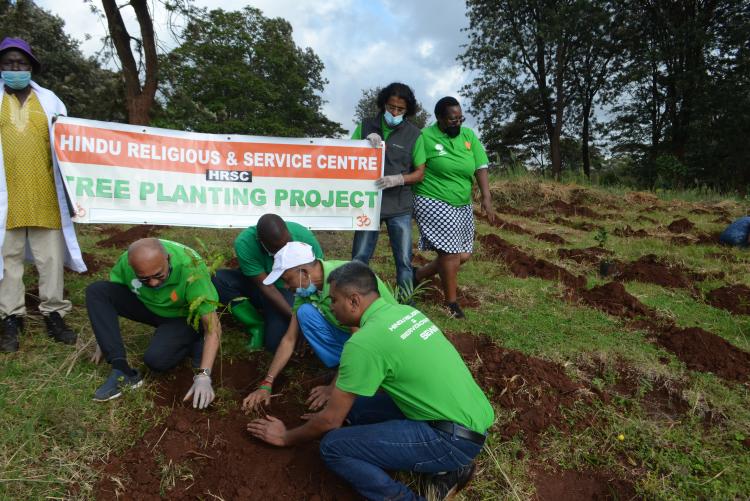 Kanyariri tree planting 2021