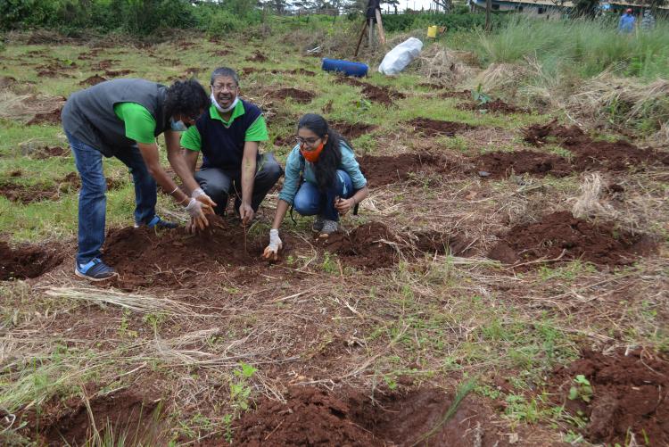 tree planting13