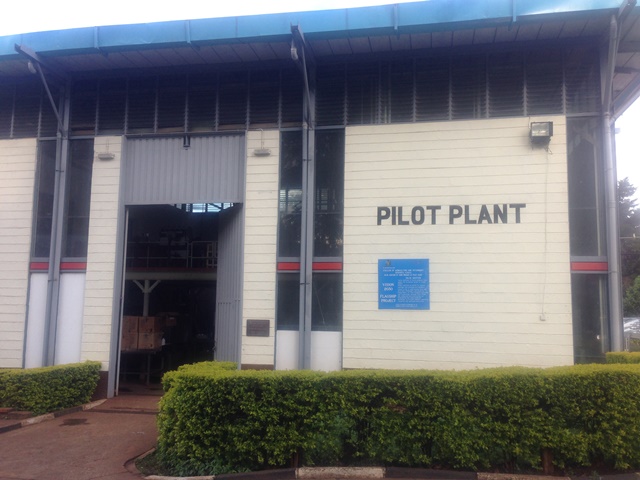 THE PILOT PLANT