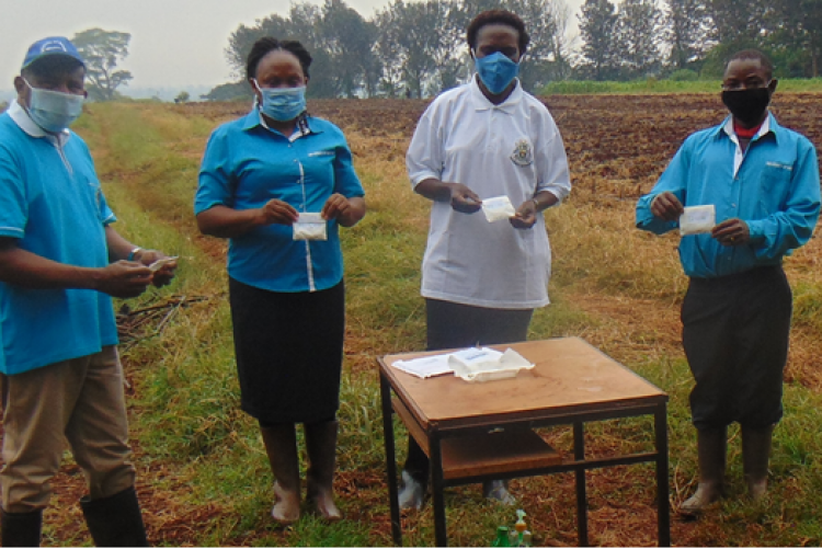 CAVS Team from the left: Prof. Daniel Gakuya(Clinical Studies), Pauline Ndwiga(Ag. Farm Manager, Field station), Prof. Rose Nyikal (Ag.  CAVS Principal) and  Kennedy Kioko( Staff, Field station)
