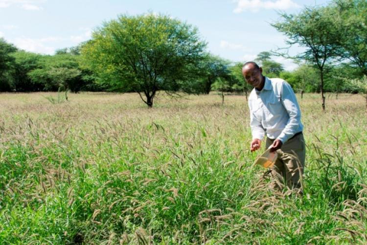 Dr Mureithi in one of the research farms at the University of Nairobi. He is a land resource management specialist. 